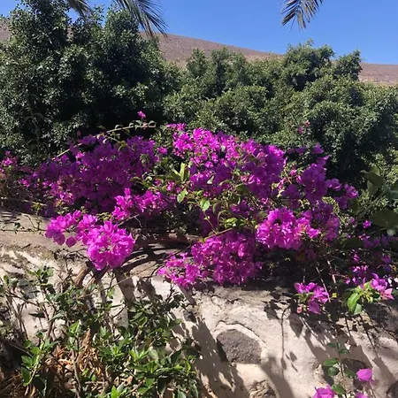 Los Tunos Campo Internacional בית נופש